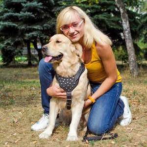 Шлейка для голден ретривера